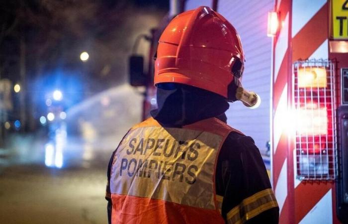 Fire in an agricultural shed in Mouchamps: 200 tonnes of fodder on fire