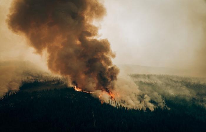 Quebec consults regarding the development of sectors affected by forest fires on the North Shore