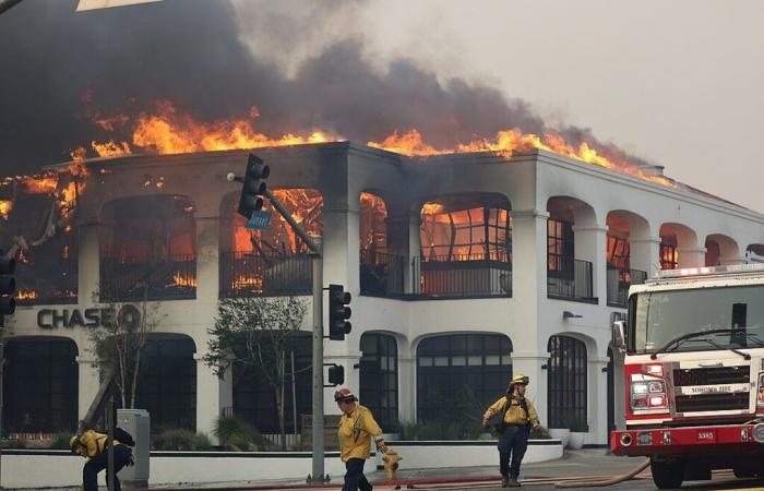 From Spark to Devastation: Lessons from the Los Angeles Fires