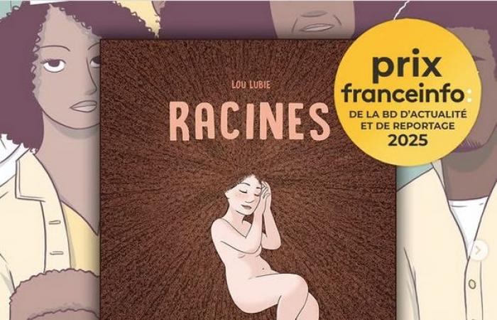 The France Info Prize for current affairs and reporting comics 2025 for Lou Lubie