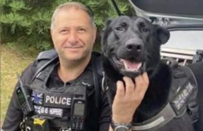 Police dog rewarded for heroism takes well-deserved retirement, and will stay with his teammate’s family