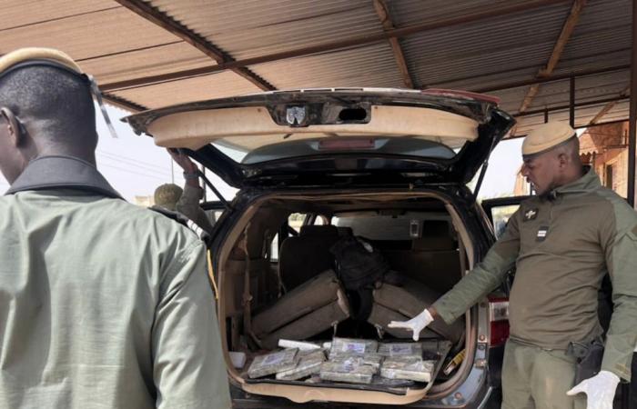 The Research Brigade seizes 100 kg of hashish worth 120 million FCFA in a vehicle