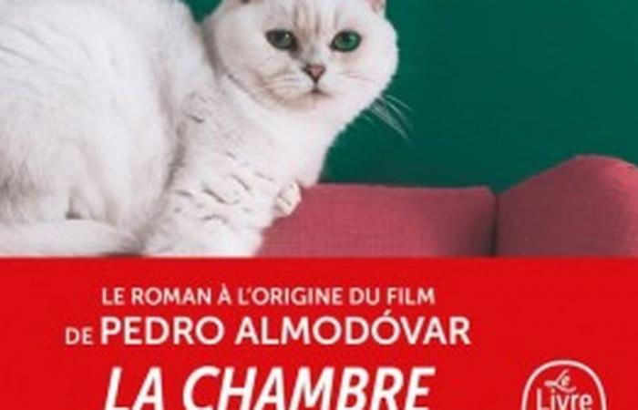 “What is your torment? » This is the book behind Almodóvar’s new film