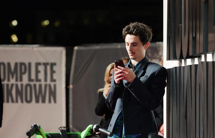 Timothée Chalamet ‘fined’ after taking Lime bike to Bob Dylan premiere