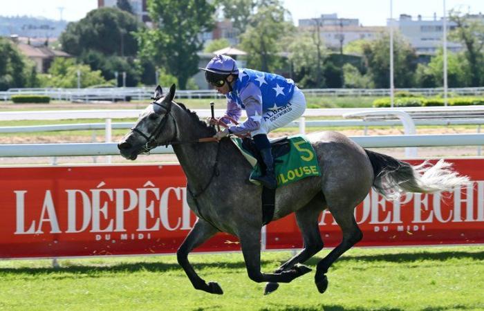 The Toulouse Hippodrome is already celebrating the Prix d’Amérique