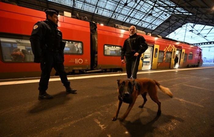 Vast anti-drug operation on Lot trains and at Cahors station, 200 passengers checked this Thursday