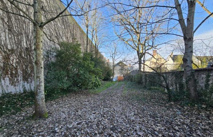 Indre-et-Loire. The City of Tours is launching a call for projects to liven up this garden