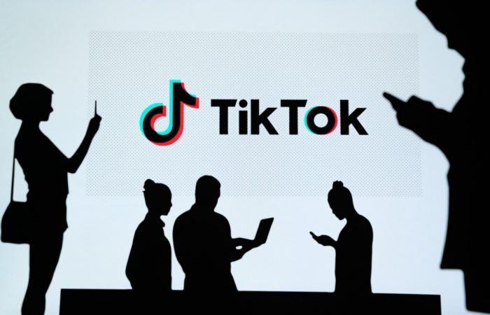 TikTok reportedly decided to simply stop working in the United States on Sunday