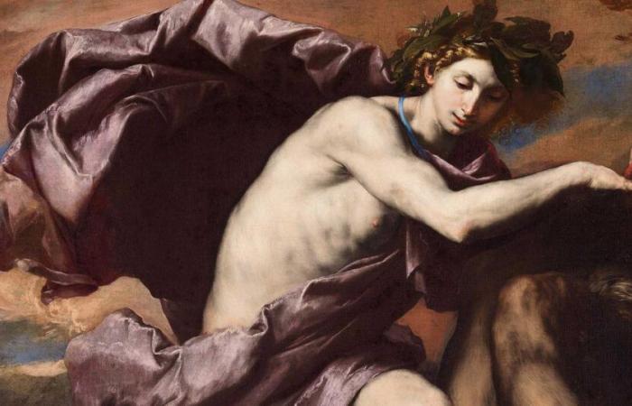 the secrets of Apollo and Marsyas de Ribera, a painting of cruel beauty