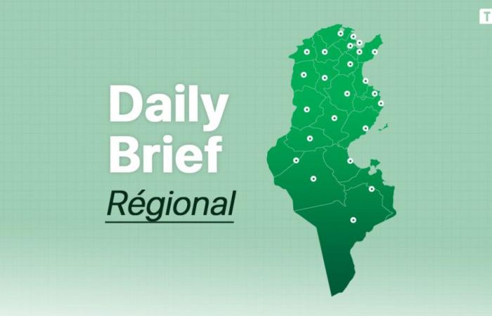 Daily regional brief of January 16, 2025: Natural gas finally arrives in Béja after years of waiting