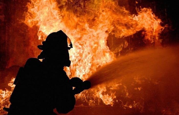 Landes. Firefighters battled for hours to bring home fire under control