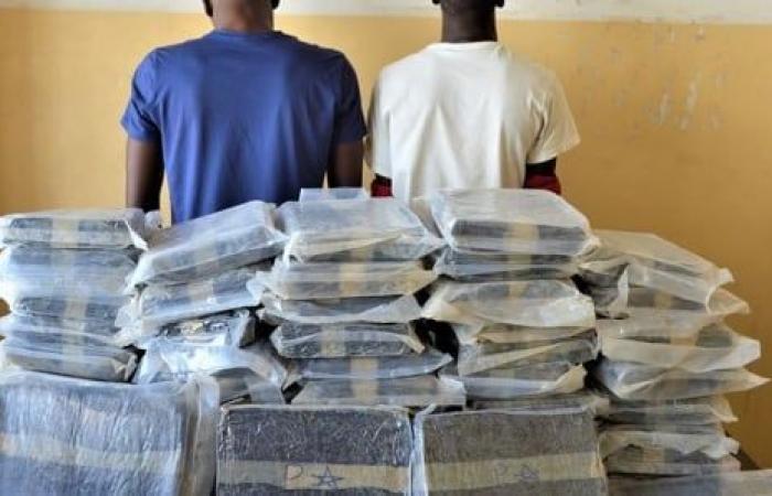 two breeders arrested in possession of 6.3 tonnes of Indian hemp