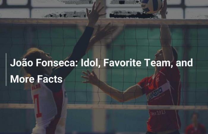 João Fonseca: Idol, Favorite Team and Other Facts