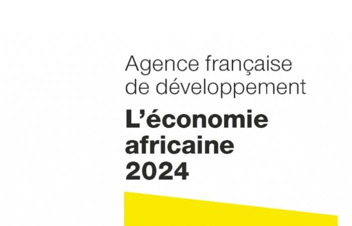 The African economy 2024 | AFD