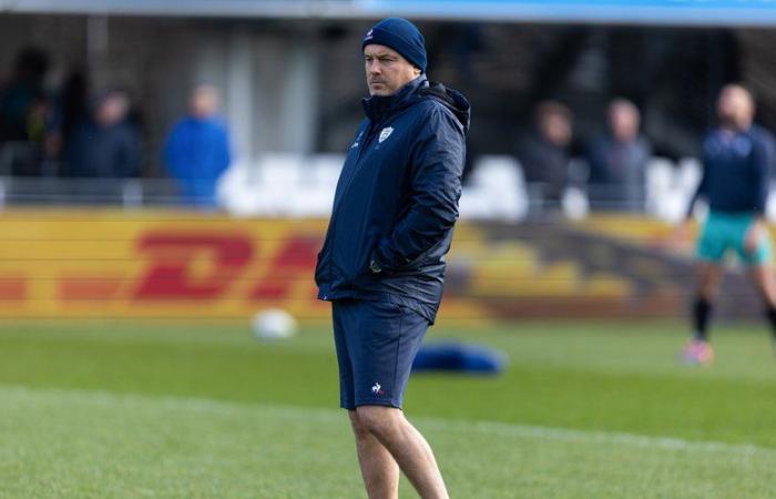 Top 14 – Jean-Noël Spitzer (Vannes): “We are on a tightrope” before Llanelli