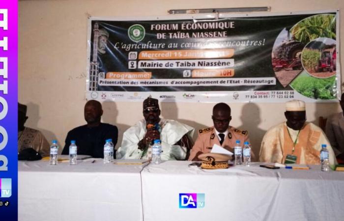 Baye Niass’s vision in the agricultural sector highlighted