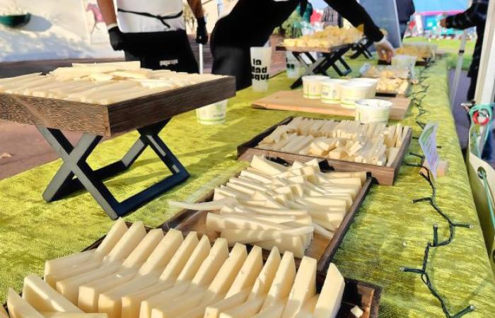 Mad Jacques Fromage, the unusual electro-cheese festival returns in April 2025 to the Paris region