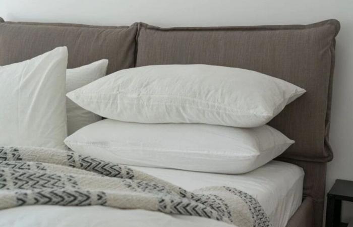 The sales do not spare this set of 2 ultra sought-after pillows which go to 15.99 euros