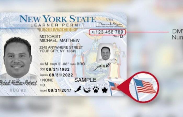 New Yorkers can get REAL ID and Enhanced ID. What’s the difference and who are they for?