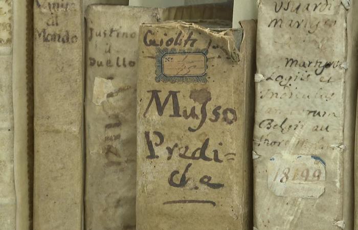 “There are books on all subjects.” Discovering the 40,000 documents from the old collection of the University of Poitiers