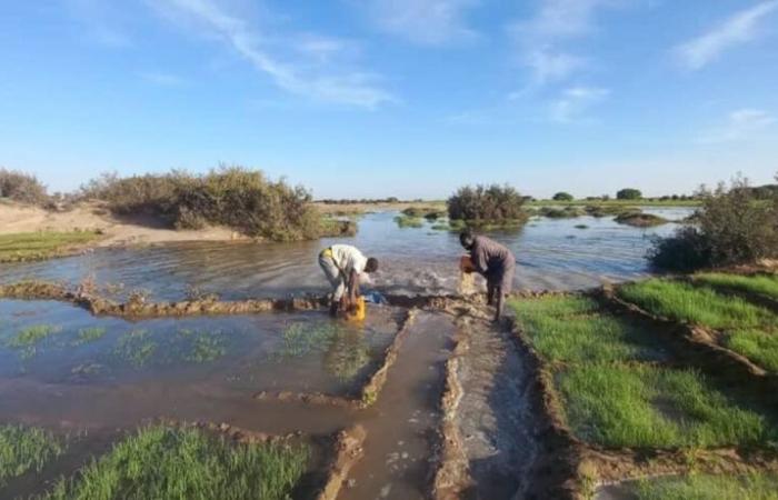 The flood of the Niger River, an opportunity for localities in the North – Studio Tamani