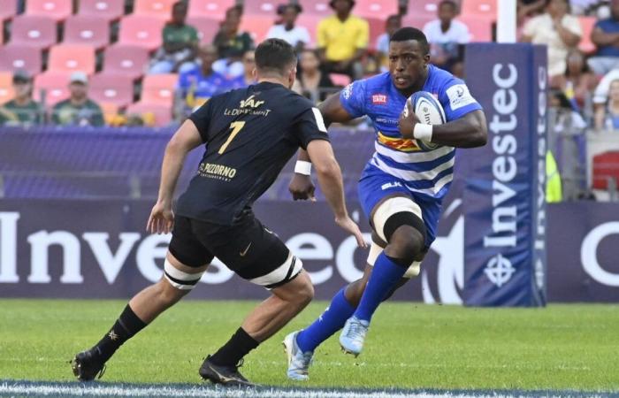 Why are South African franchises struggling so much in the Champions Cup?