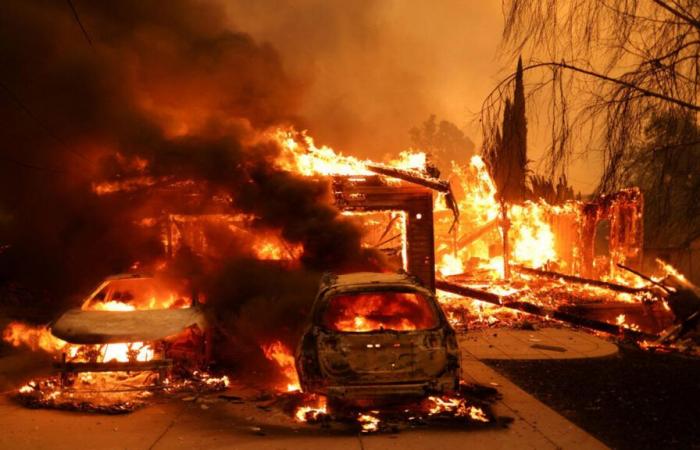 What are the consequences of the Los Angeles fires on French expatriates?