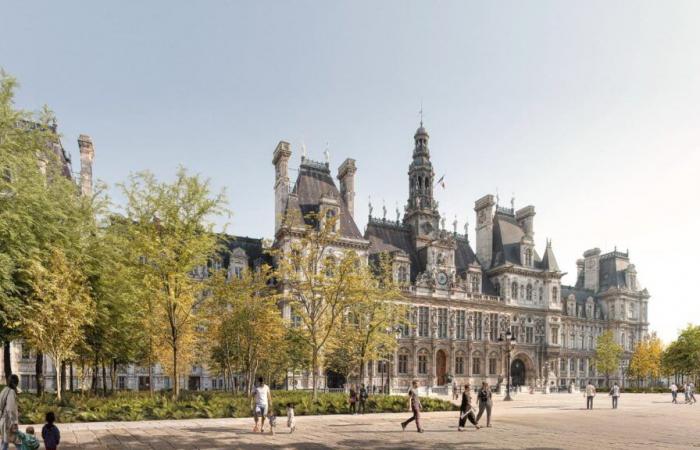 the “urban forest” began to be planted on the square in front of the town hall