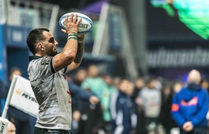 Rugby – Paloise Section: Youri Delhommel extends until 2027