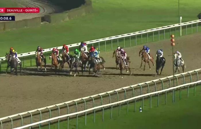 Quinté+: PRIX DU PAYS D’OUCHE – DEAUVILLE – 01/17/2025: runners, predictions and results in videos – Race 8