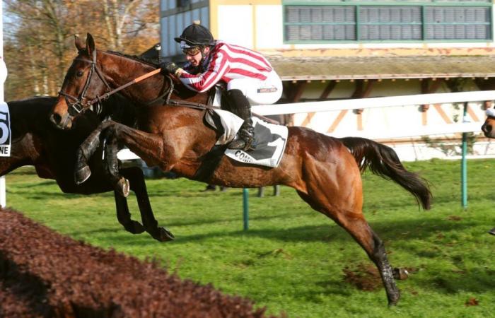 Sunday in Pau – A Great Open Hurdle Race