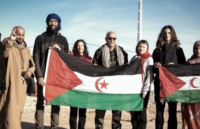 After her visit to the Tindouf camps, Greta Thunberg becomes spokesperson for the Polisario