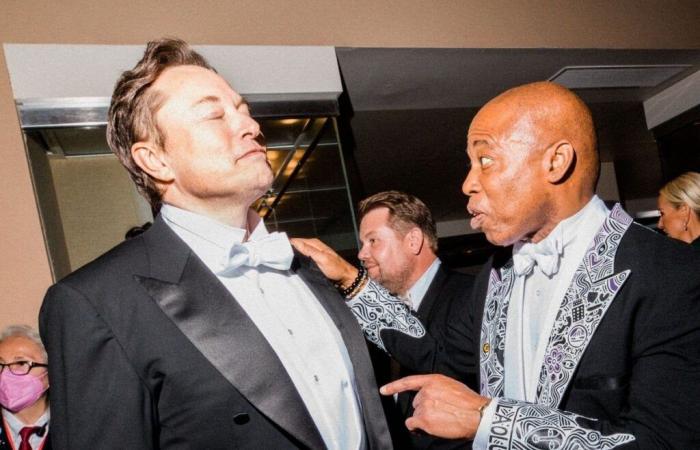 Elon Musk's father claims his son's entire career was financed by this emerald mine