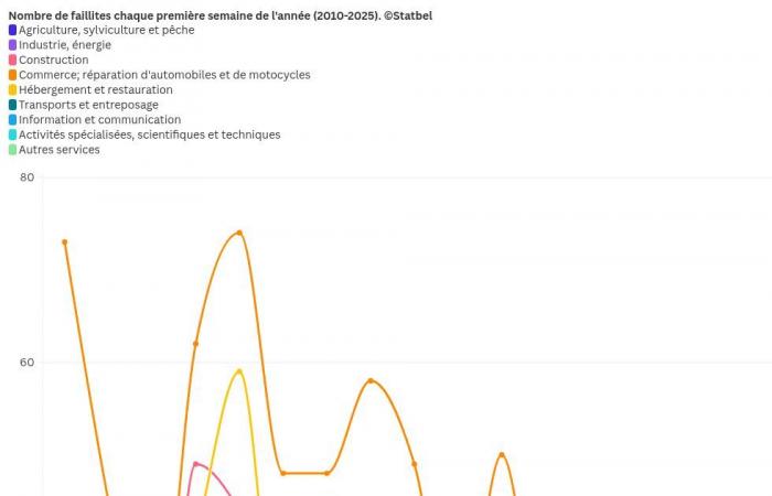 159 bankruptcies in Belgium in one week: which sector is most affected?