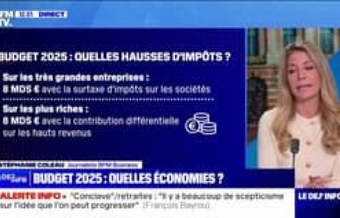 François Bayrou expects “an assessment of the possibilities for progress” at the end of May