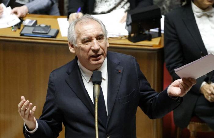 What does the Bayrou government want to do?