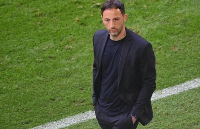 Soccer. Belgium fires Domenico Tedesco from his position as coach. Sport