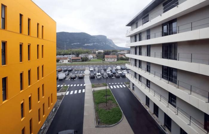 Haute-Savoie: the Annemasse Emergency Department reopens its doors