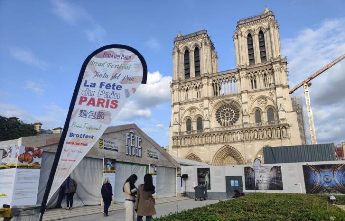 The 2025 Bread Festival in Paris: artisan bakers return to the Notre-Dame square