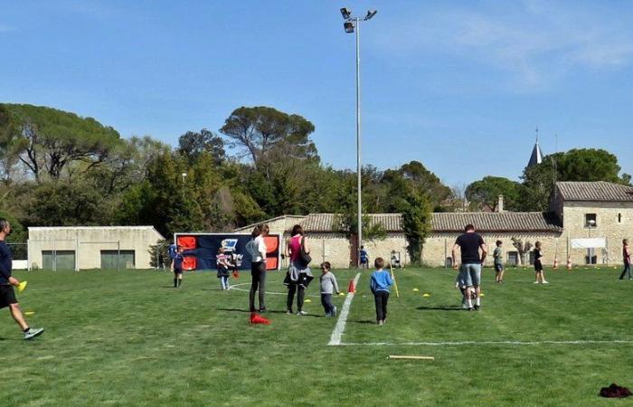 Several introductory rugby cycles by Hérault sport