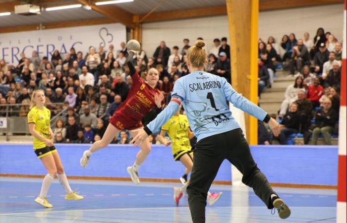 Handball (D2F): Bergerac awaits confirmation