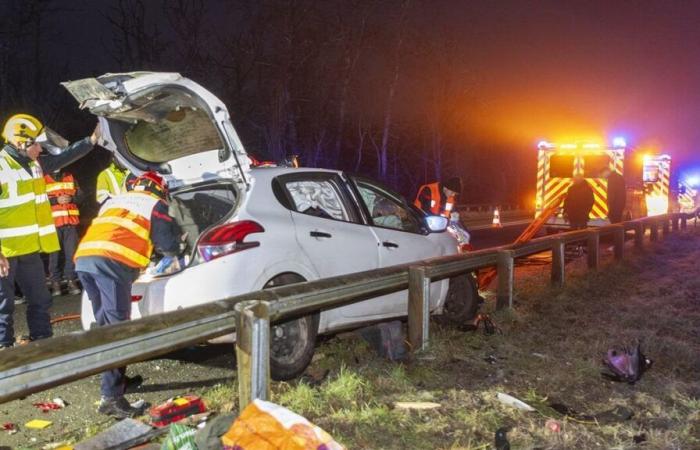 Fontainebleau: involved in an accident, the driver abandons his truck and flees through the forest