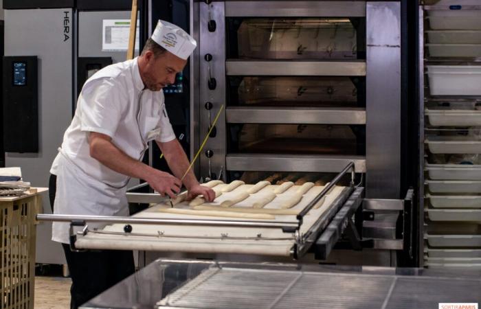 The 2025 Bread Festival in Paris: artisan bakers return to the Notre-Dame square