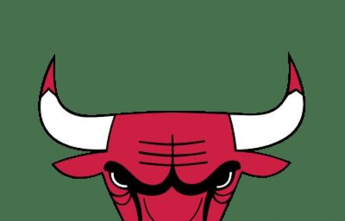 Match NBA Chicago Bulls vs Charlotte Hornets du 17/01/2025