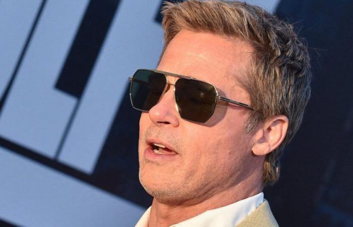 Fake Brad Pitt scam: victim's daughter defends her mother against cyberharassment: News