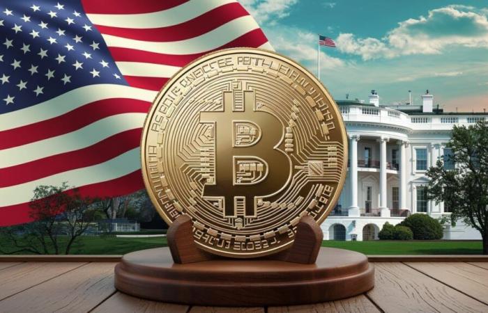 Bitcoin and Dollar on the Rise Before Trump’s Inauguration