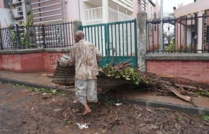 In Mayotte devastated by the cyclone, “farmers have lost everything”