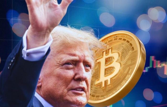 EXCLUSIVE: Will Donald Trump’s crypto plans impact Bitcoin, XRP, Solana?