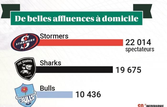 Why are South African franchises struggling so much in the Champions Cup?