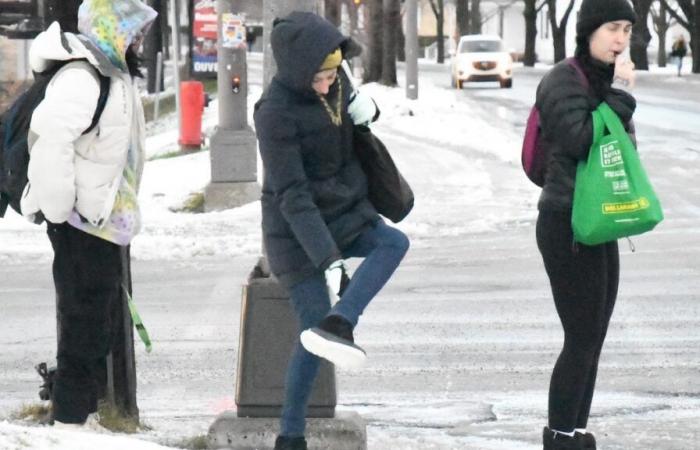 Weather in Quebec: the warm weather returns before the arrival of the cold